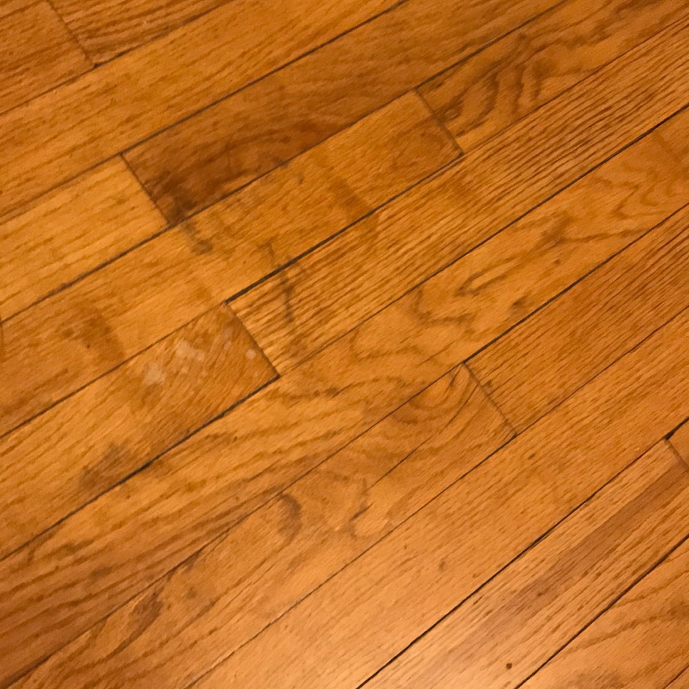 Meet your Posher, Joseph c